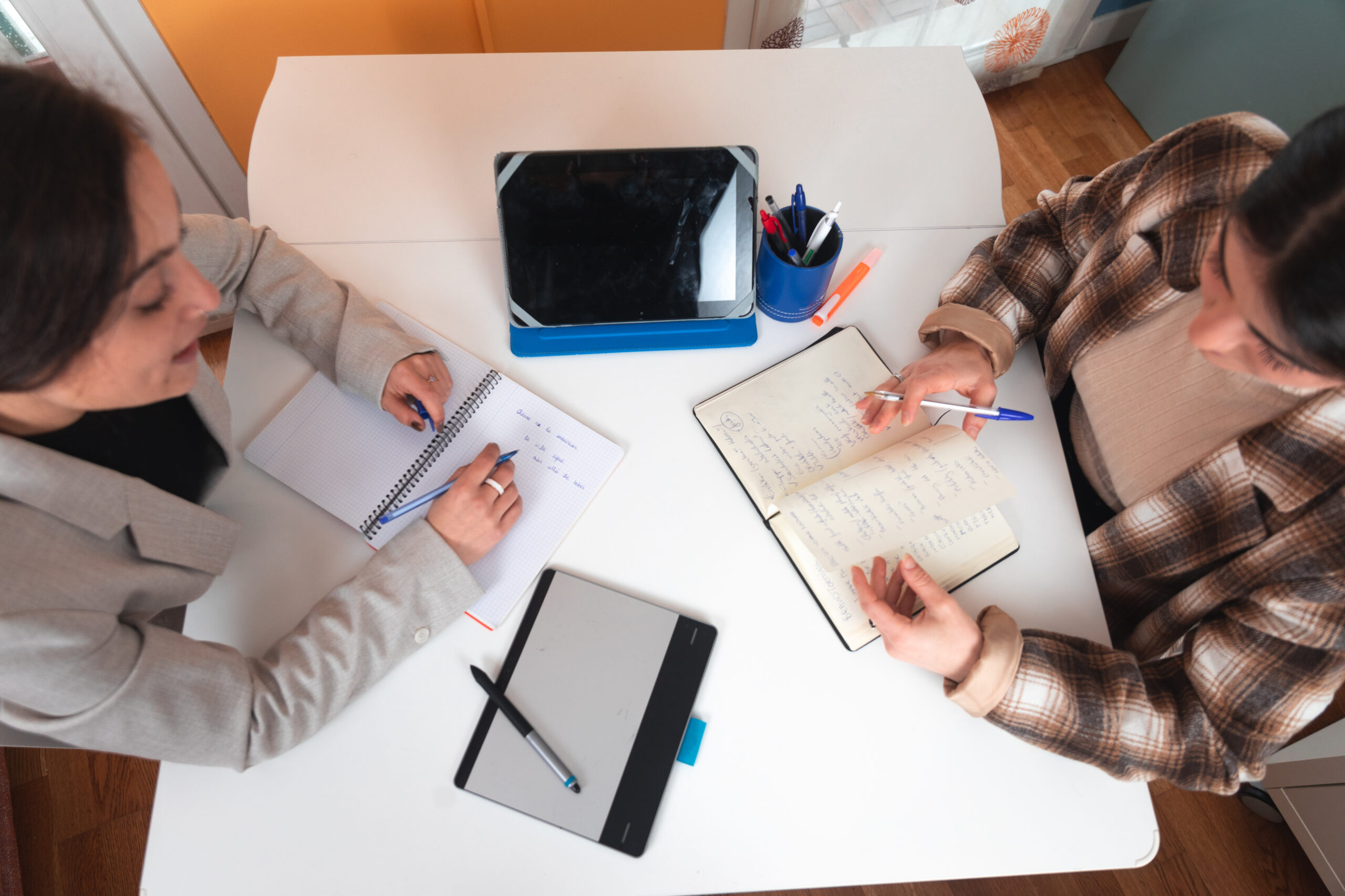 PREMISAS Y CONDICIONES DEL TRABAJO INDIVIDUAL DURANTE LA FORMACION DEL INDIVIDUO